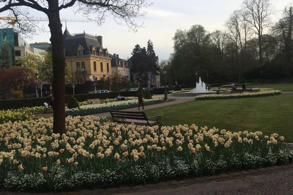House * Luxembourg