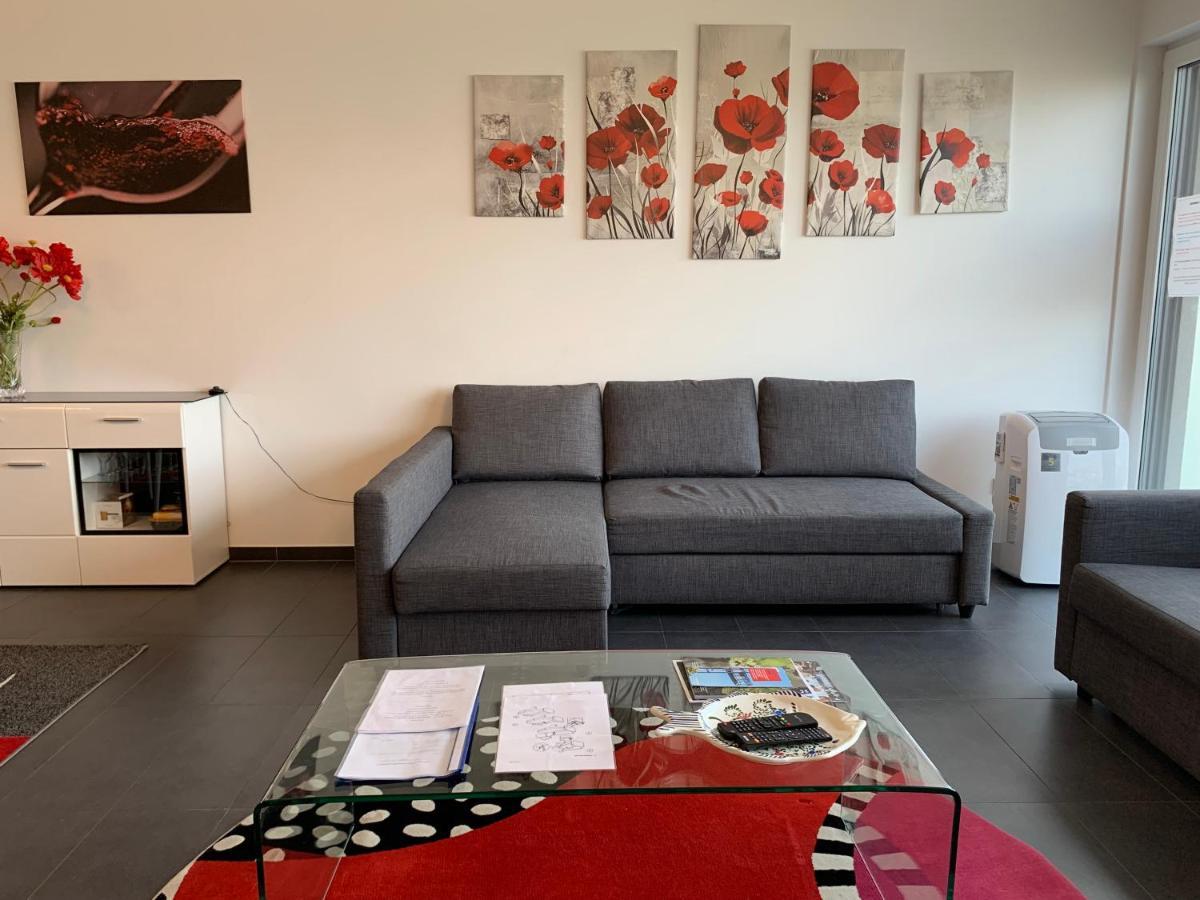 Spacious Luxury 2br Flat With Parking & Netflix - Gare Apartment *