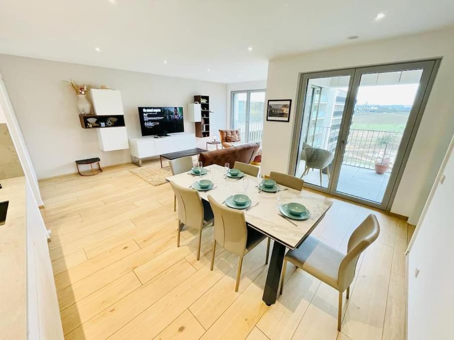 Luxury 3 Bedrooms Flat In The Heart Of Gasperich Terrace And Parking-cd2 Apartment