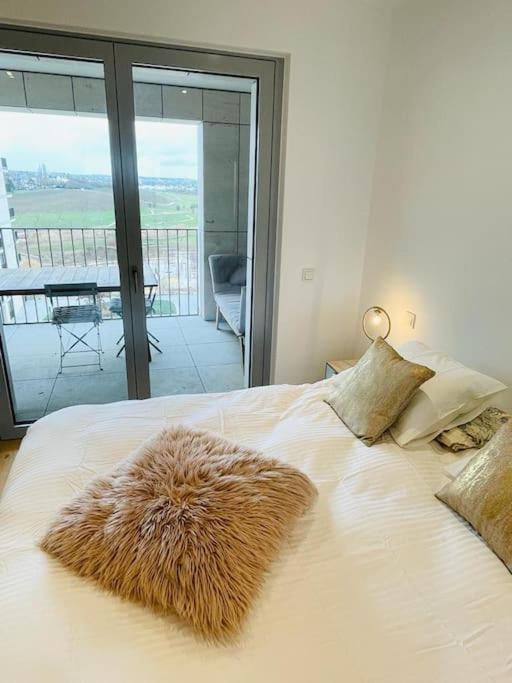 Luxury 3 Bedrooms Flat In The Heart Of Gasperich Terrace And Parking-cd2 Apartment