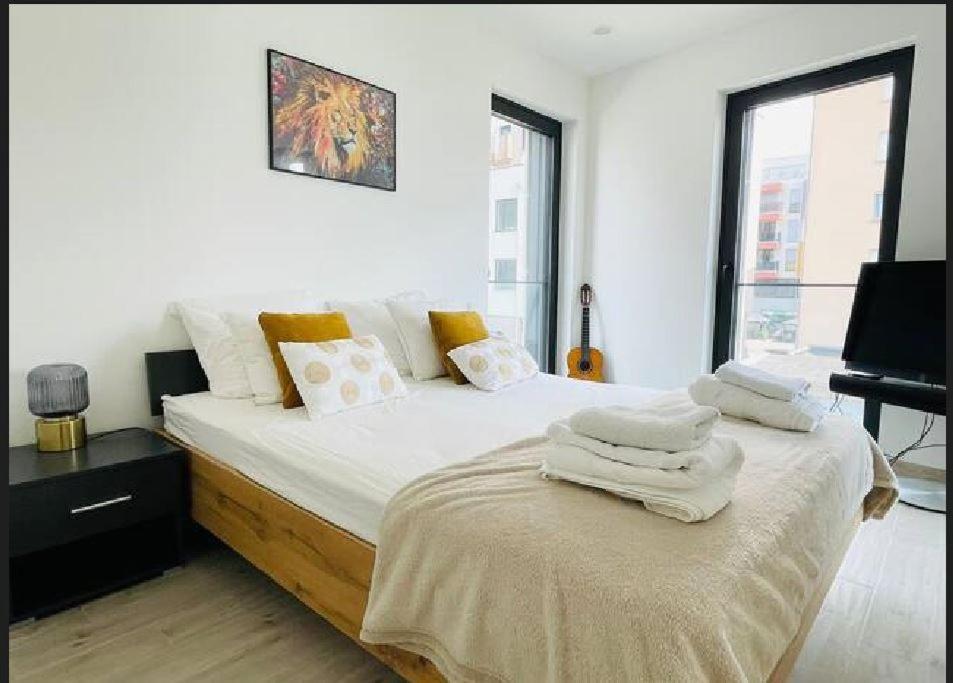 1 Bedroom In Center With Terrace 31--2