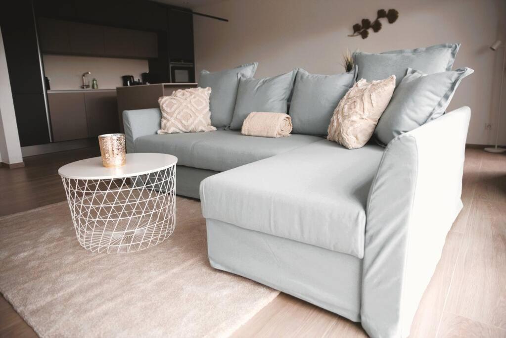 Beautiful Stylish 2br In Kirchberg Apartment