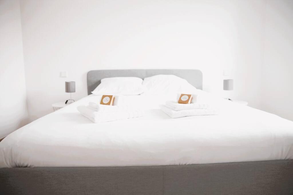 Beautiful Stylish 2br In Kirchberg