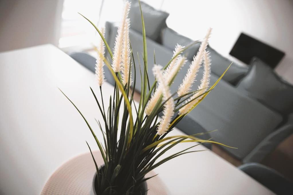 Apartment Beautiful Stylish 2br In Kirchberg *