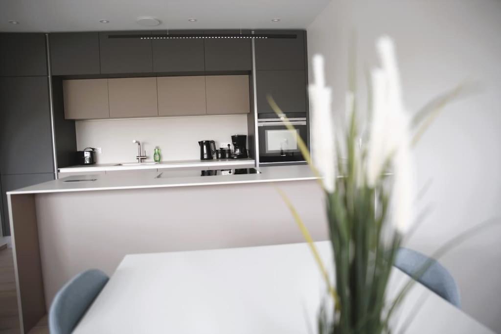 Apartment Beautiful Stylish 2br In Kirchberg Luxemburg