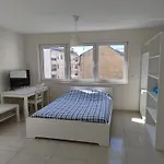 Elegant Spacious Room With Open Kitchen, Steps From Luxembourg Train Station