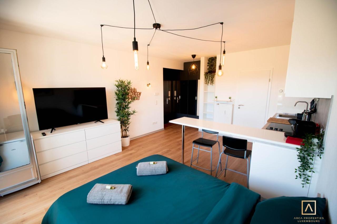 Modern Style Studio With Balcony, Smart Tv, Business&leisure Apartment Luxemburg