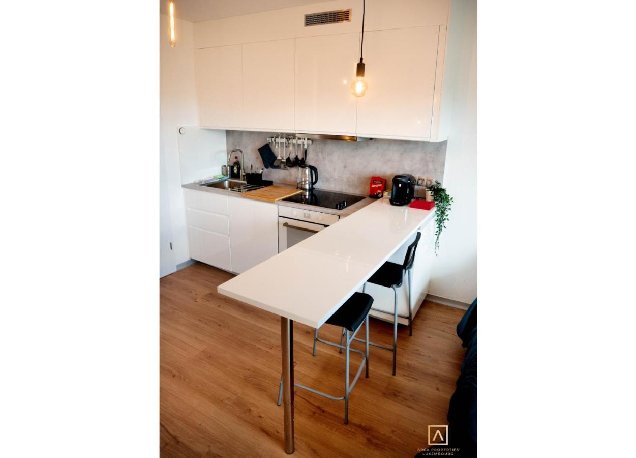 Modern Style Studio With Balcony, Smart Tv, Business&leisure