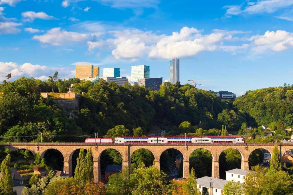 Large Family Retro Flat In Center- Large Terrace & Garden View, Free Parking Luxembourg