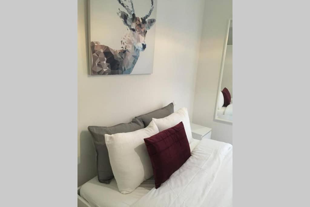 Trendy New And Large 3 Beds