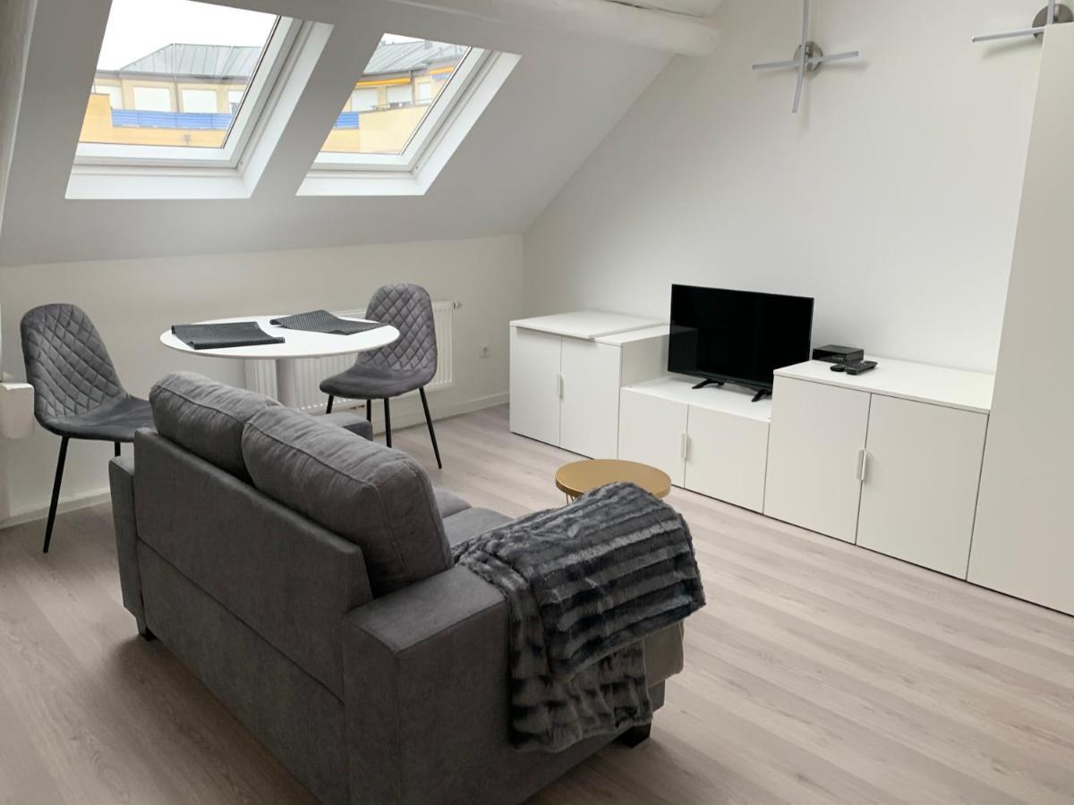 Apartment Executive- Studio-loft Center *