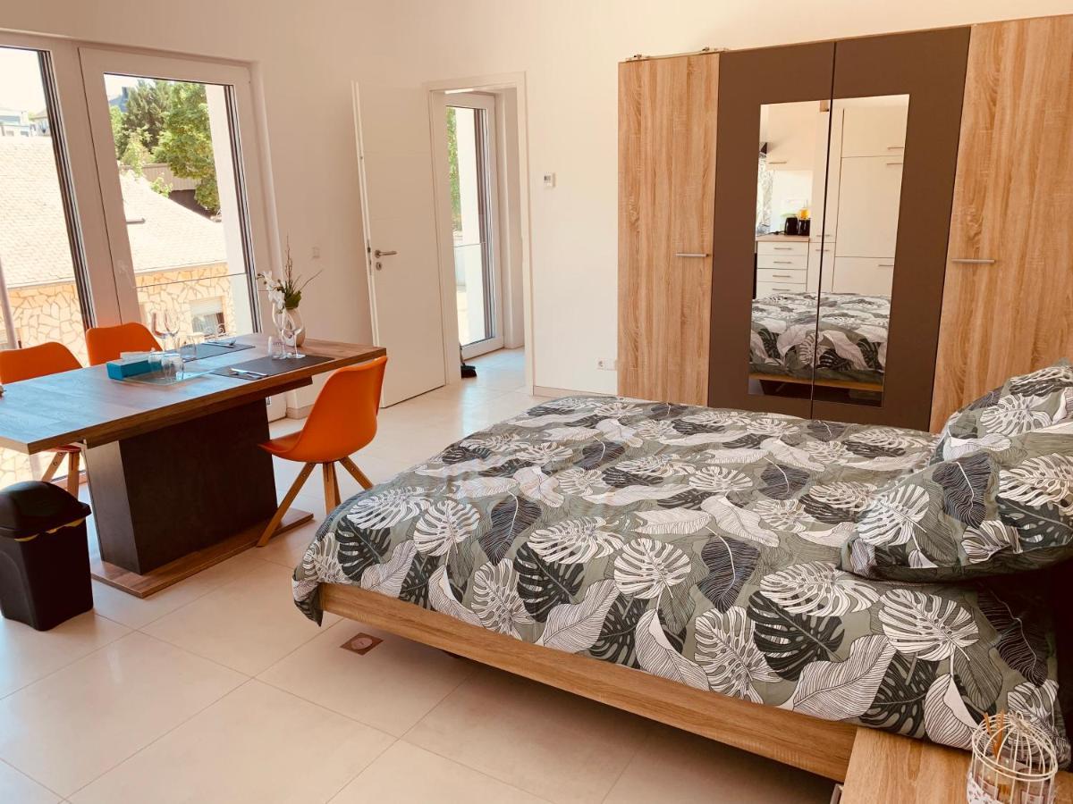 Apartment New In