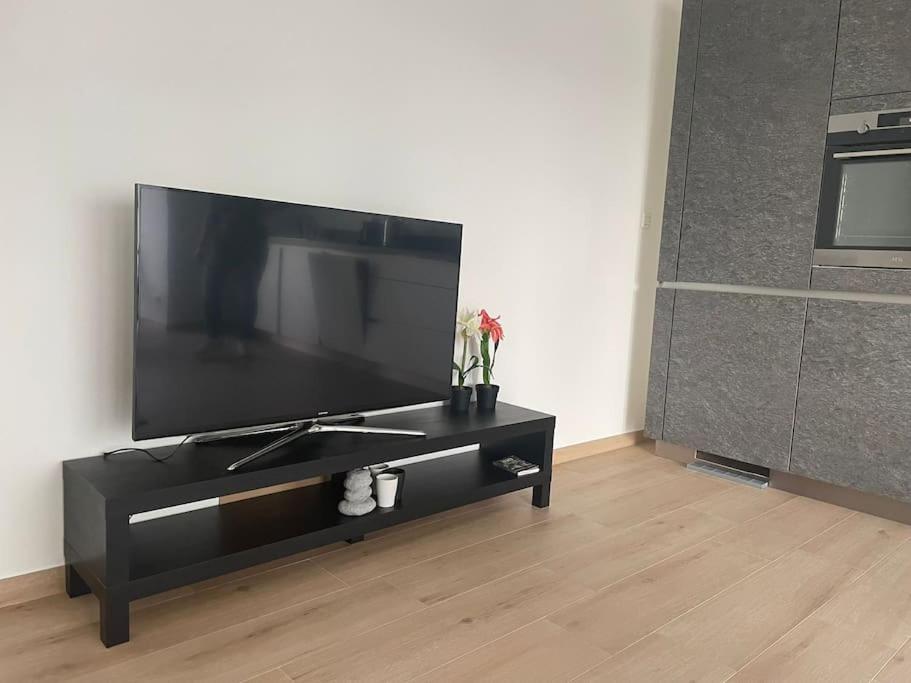 Brand New 1 Bedroom In Center With Terrace - 4a