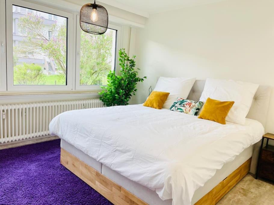 Luxury 3 Bedrooms In Center With Terrace And Parking -bon1 Apartment *