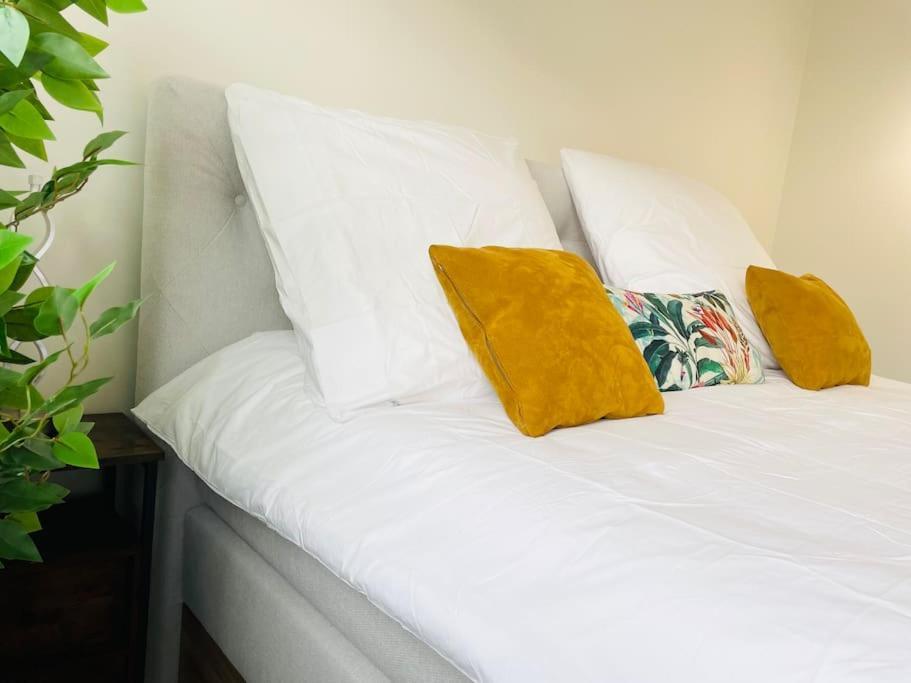 Apartment Luxury 3 Bedrooms In Center With Terrace And Parking -bon1 Luxemburg