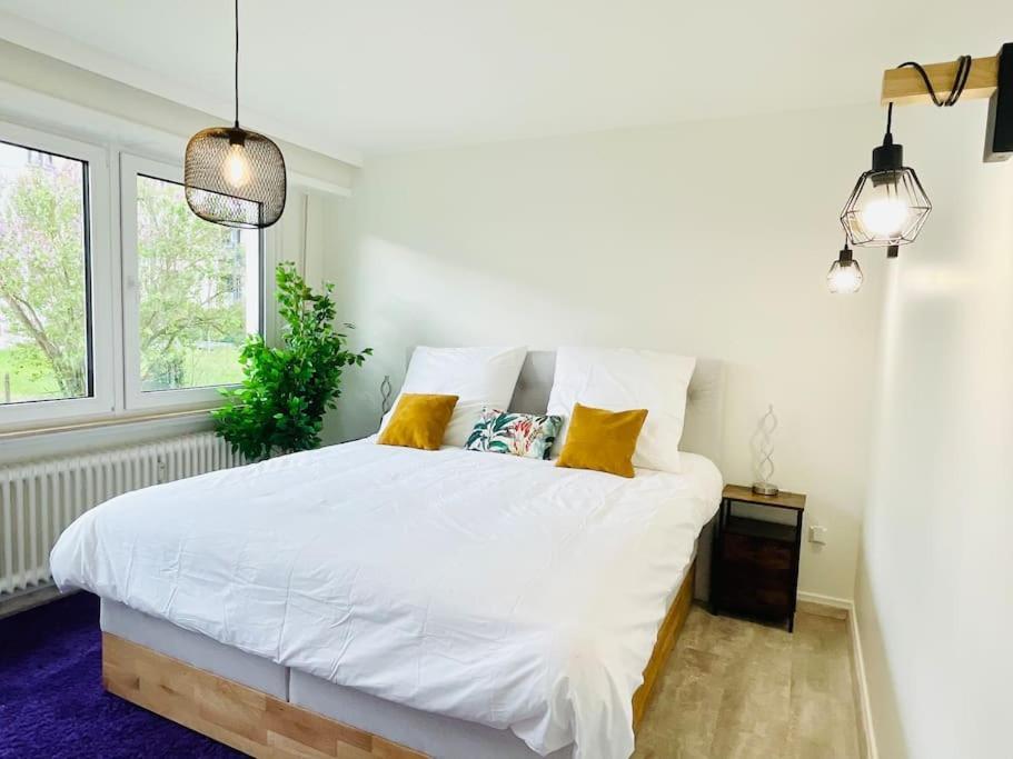 Luxury 3 Bedrooms In Center With Terrace And Parking -bon1 *