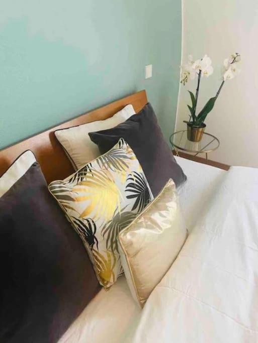 Penthouse 2 Bedrooms In Center Witth Terrace & Parking- 51 Apartamento