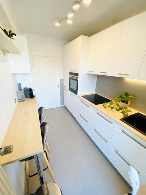 Large 1 Bedroom In Center With Parking - 64 *