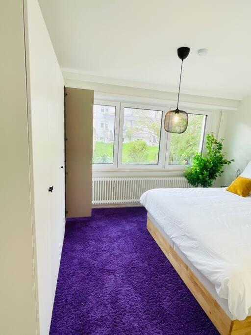 Apartment Luxury 3 Bedrooms In Center With Terrace And Parking -bon1 *
