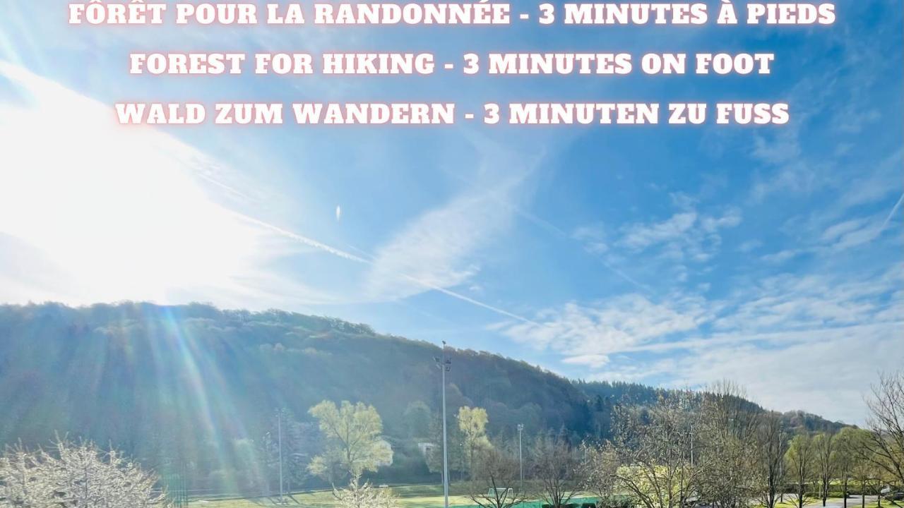 City - 70m2 - Easy Parking - Bus - 2 Tvs - Between City And Forest Luxemburg