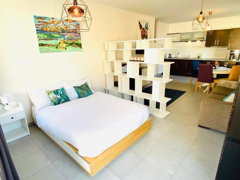 Appartement Large Studio In Center With Terrace-cosy *