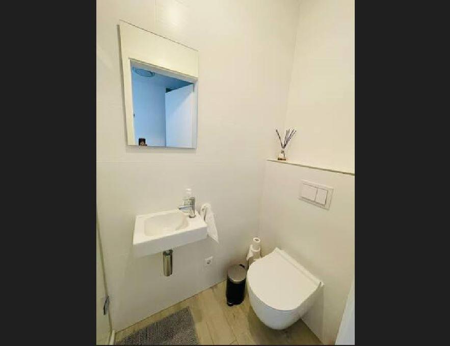 Apartamento 1 Bedroom In Center With Terrace 31--2