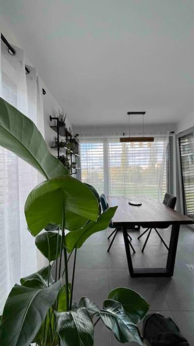 Beautiful High Standard Appartement Luxemburg