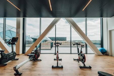 Spa, Gym & Pool In Cloche D'or Id6 Luxembourg