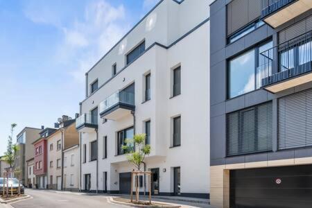Stylish Designer Studio In Bonnevoie Id151 Apartment