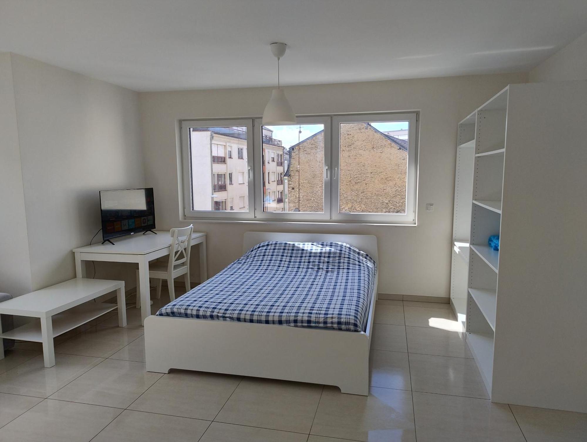 Elegant Spacious With Open Kitchen, Steps From Train Station Maison d'hôtes Luxembourg