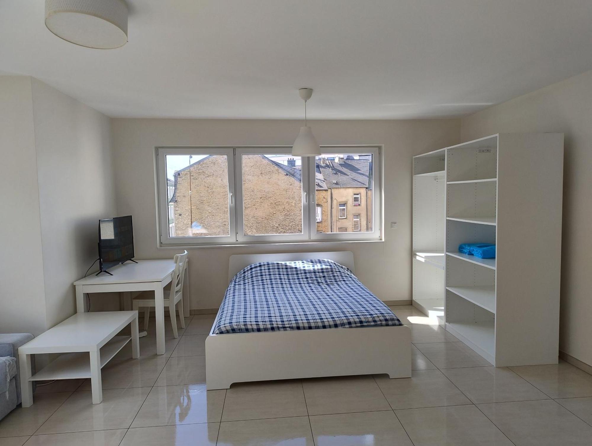Elegant Spacious With Open Kitchen, Steps From Train Station Maison d'hôtes Luxembourg