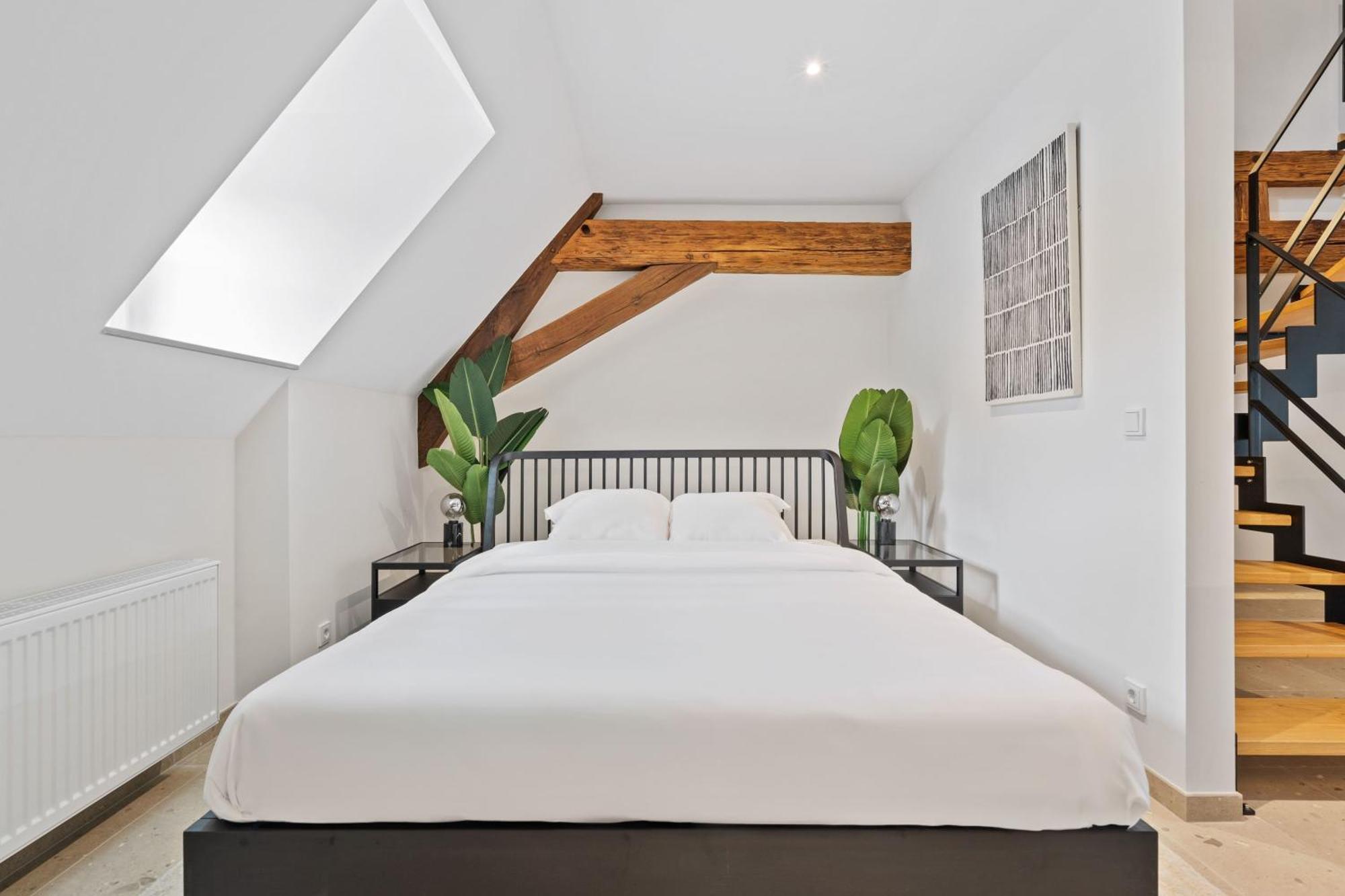Apartment Elegant Clausen With King Bed & Wifi *