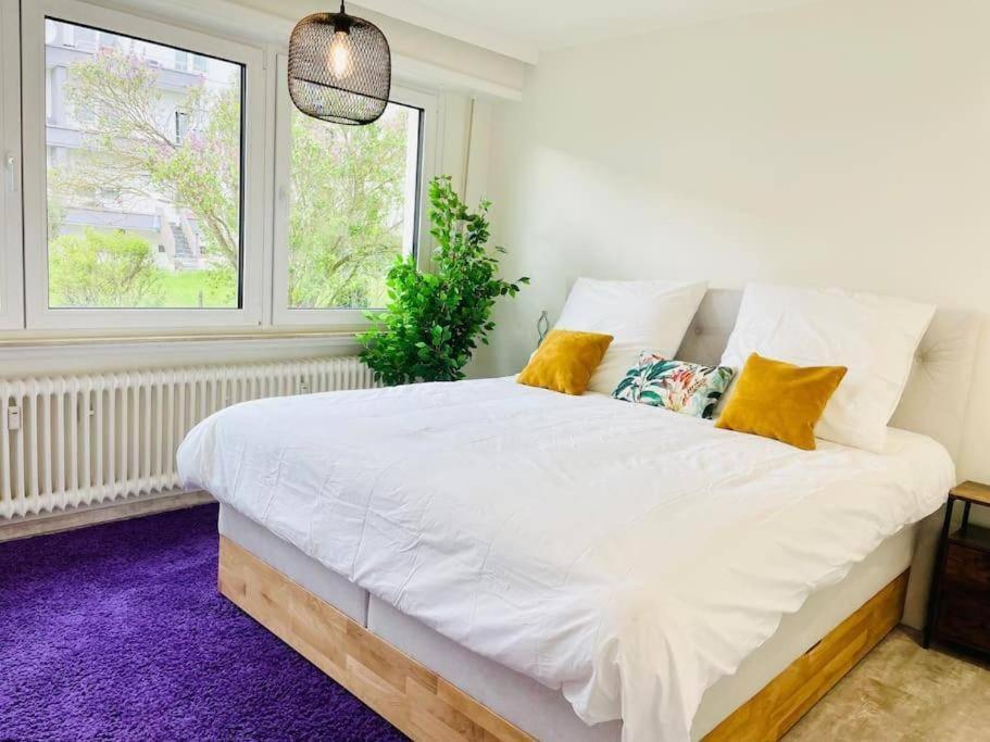 Three Bedrooms In Center With Terrace&parking * Luxembourg
