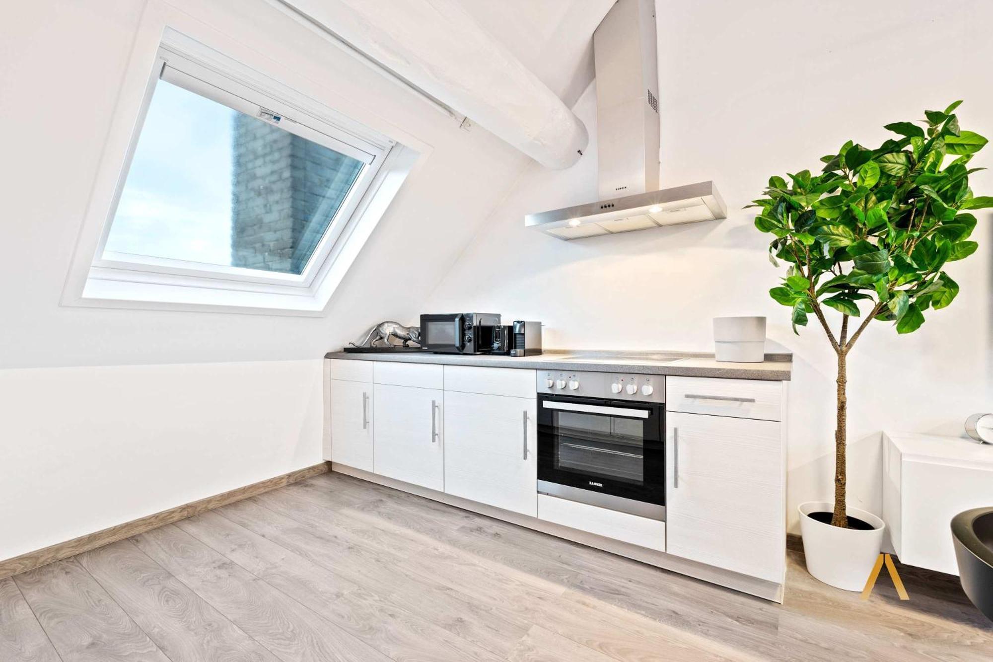 Charming 1br Loft In Ville-haute, Apartamento *