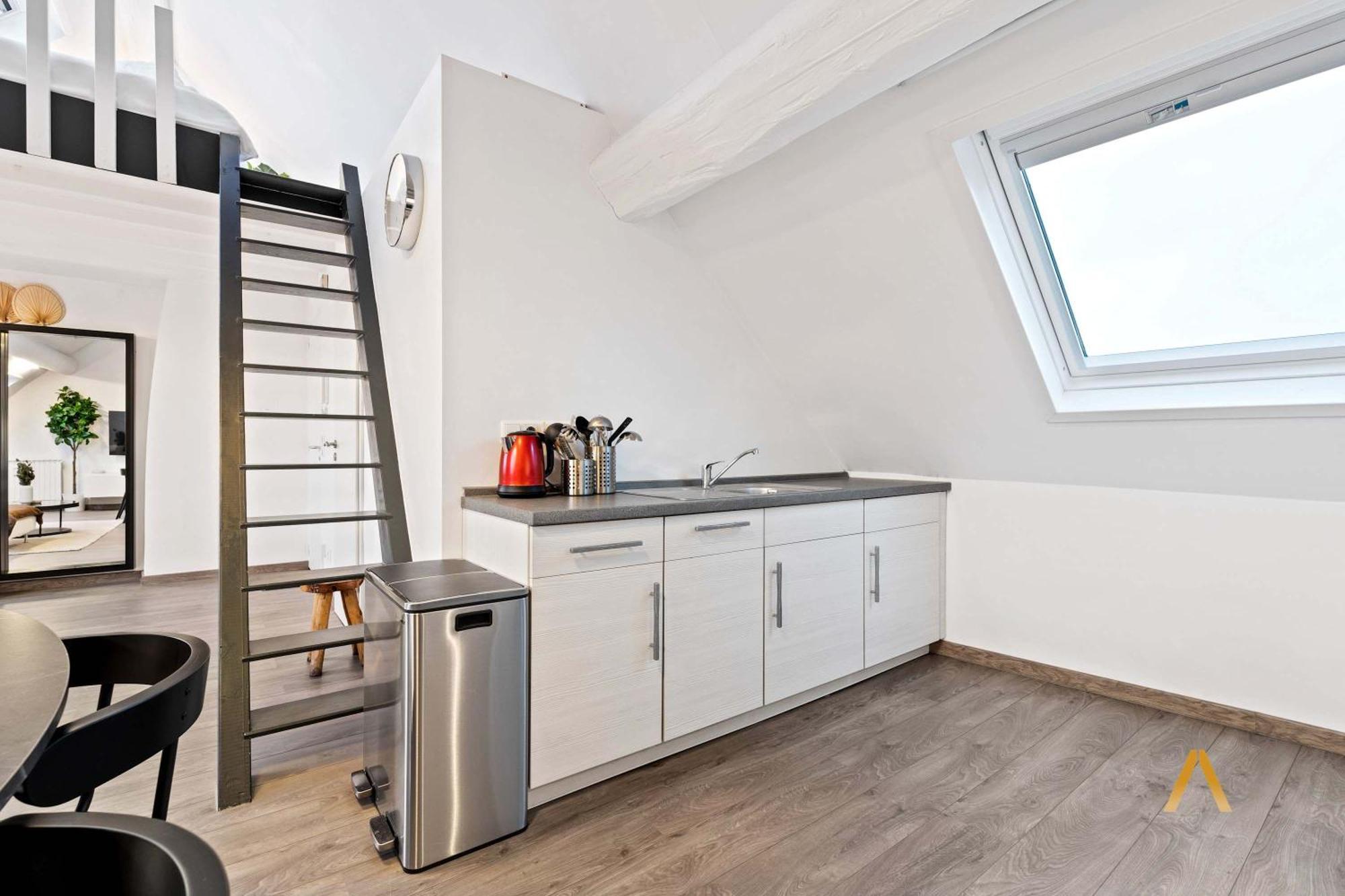 Charming 1br Loft In Ville-haute, *