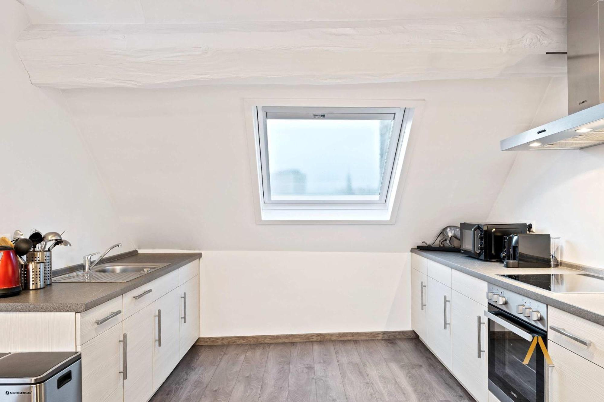 Charming 1br Loft In Ville-haute,
