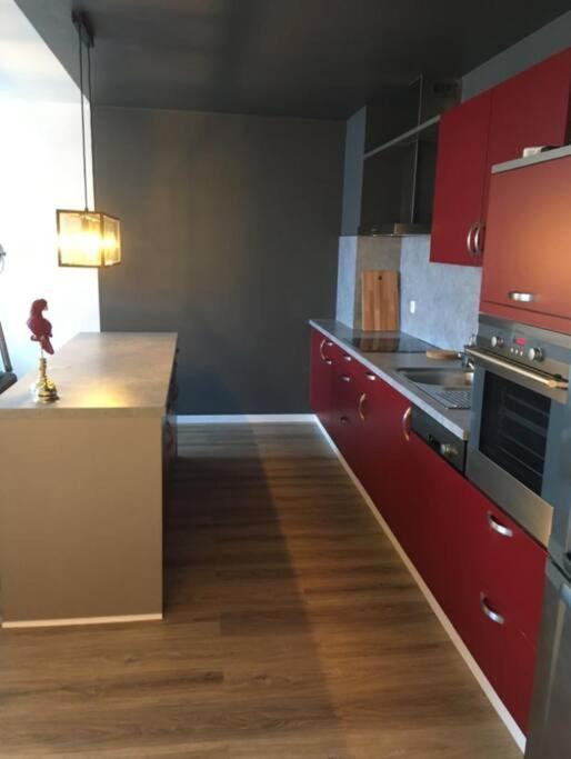 Large 2 Bedrooms Flat With Free Parking & Terrace Apartment Luxemburg