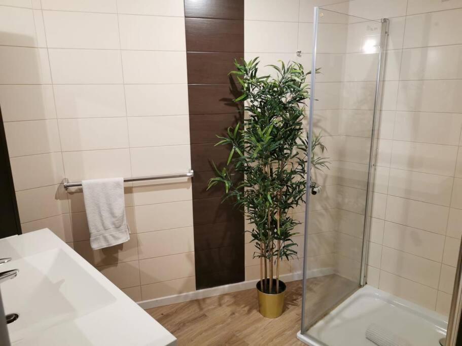 Apartment Large 2 Bedrooms Flat With Free Parking & Terrace *