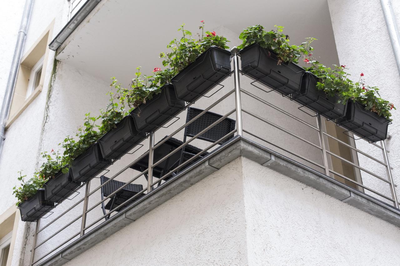 The Queen Luxury - Cortina Apartamento Luxemburgo