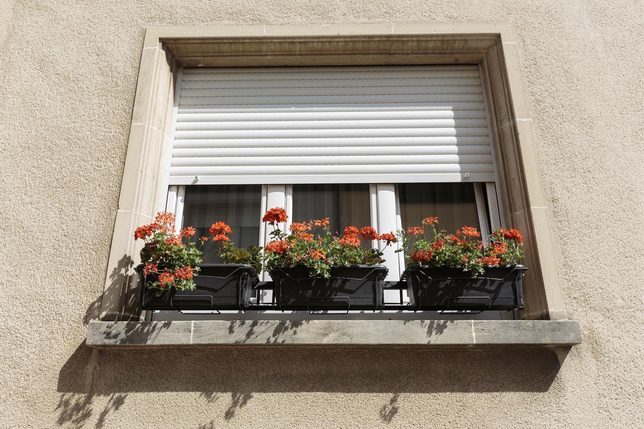 The Queen Luxury - Medici Apartment *