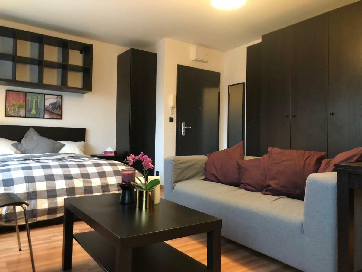 Cozy Studio In The Heart Of Appartement