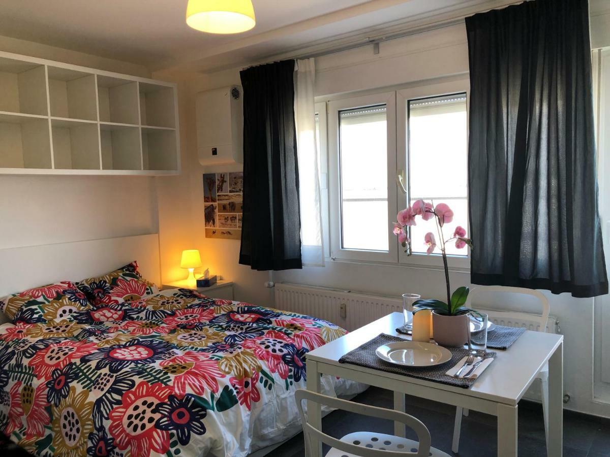 Studio With Rooftop Terrace Luxemburgo