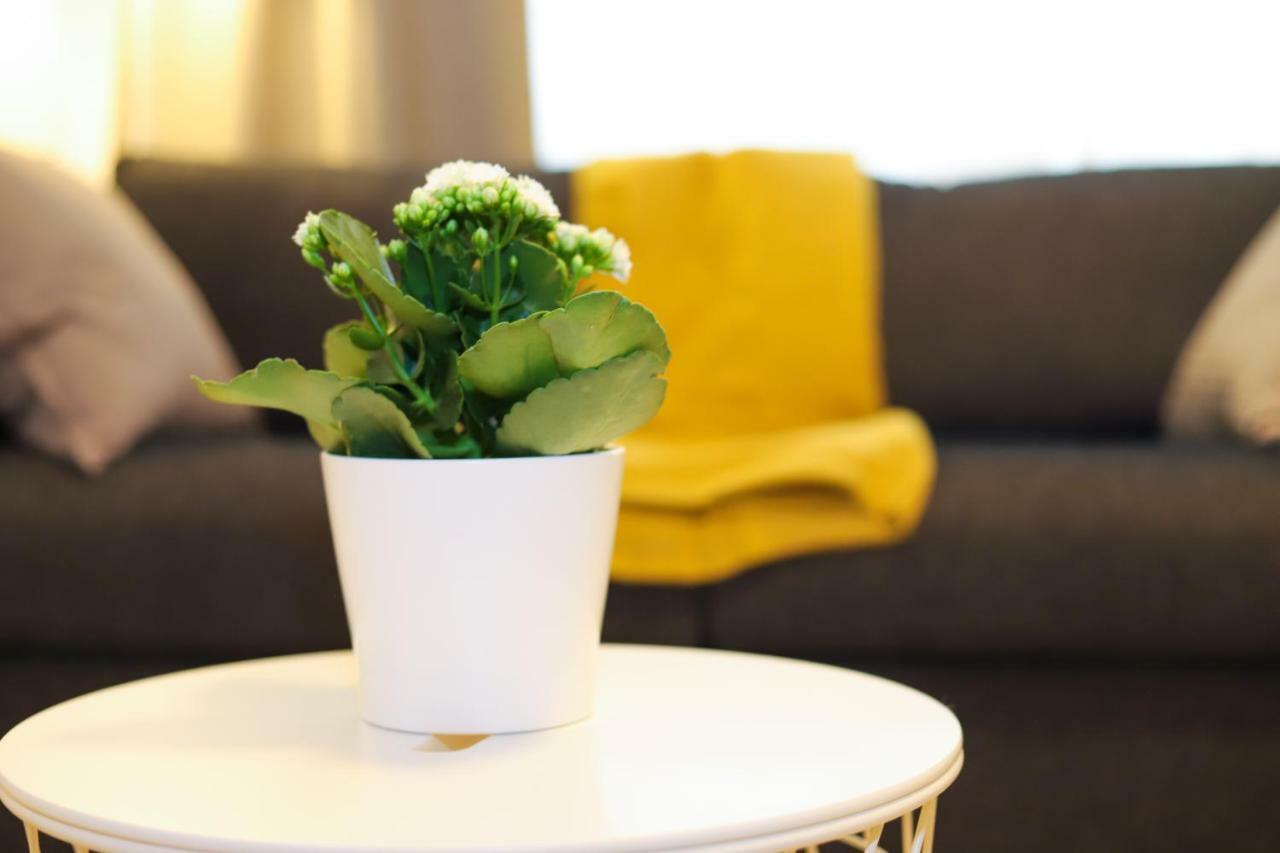 Apartment Nice Central Studio Luxembourg
