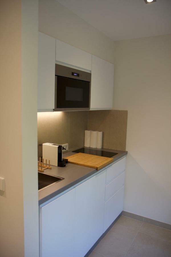 Fully Renovated Studio Flat With Own Parking Apartment