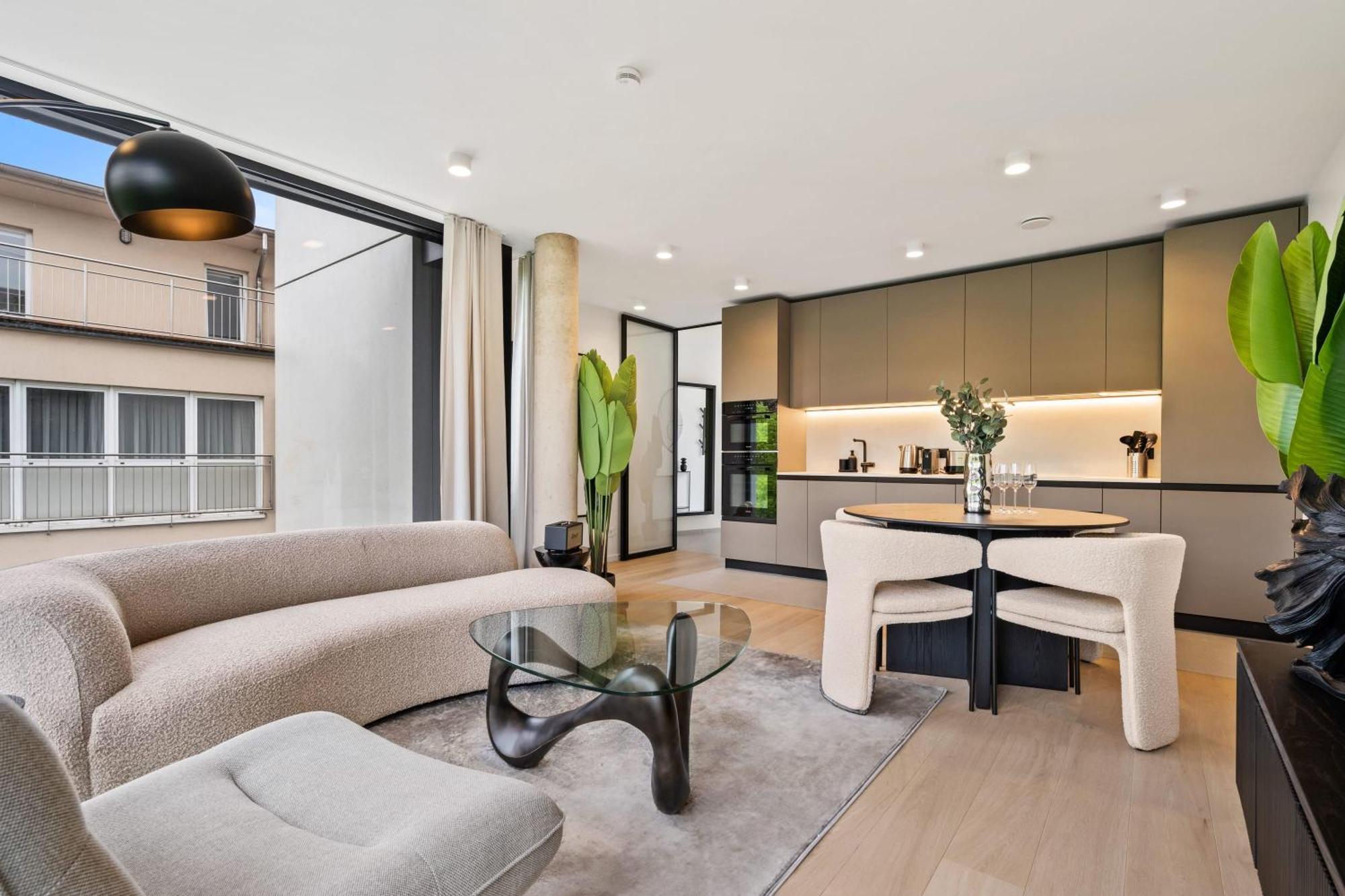Luxury Downtown With Modern Amenities Apartment