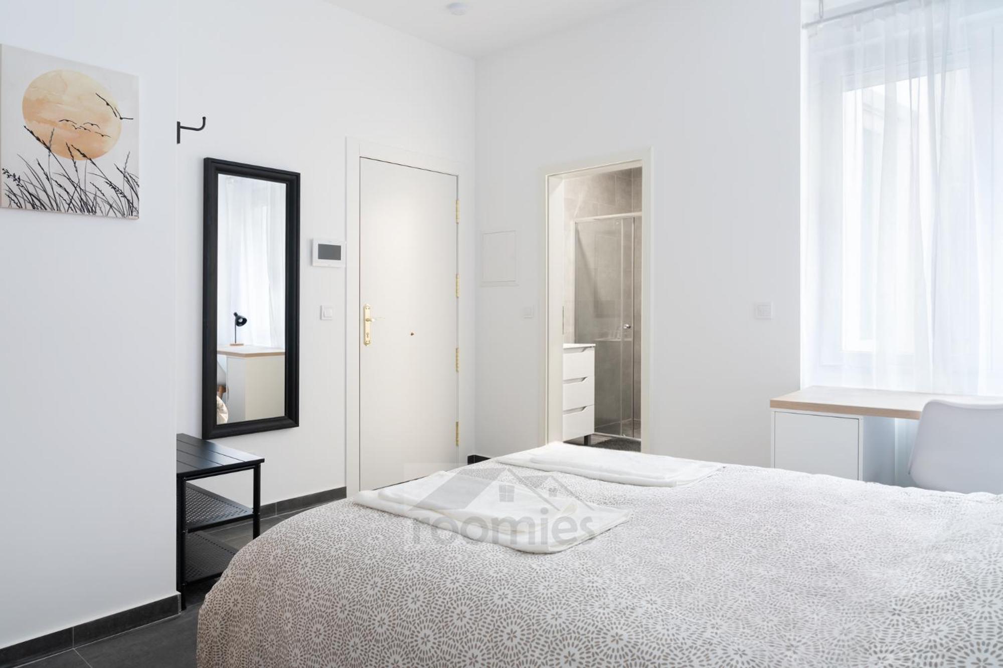 Roomies Centre Gare