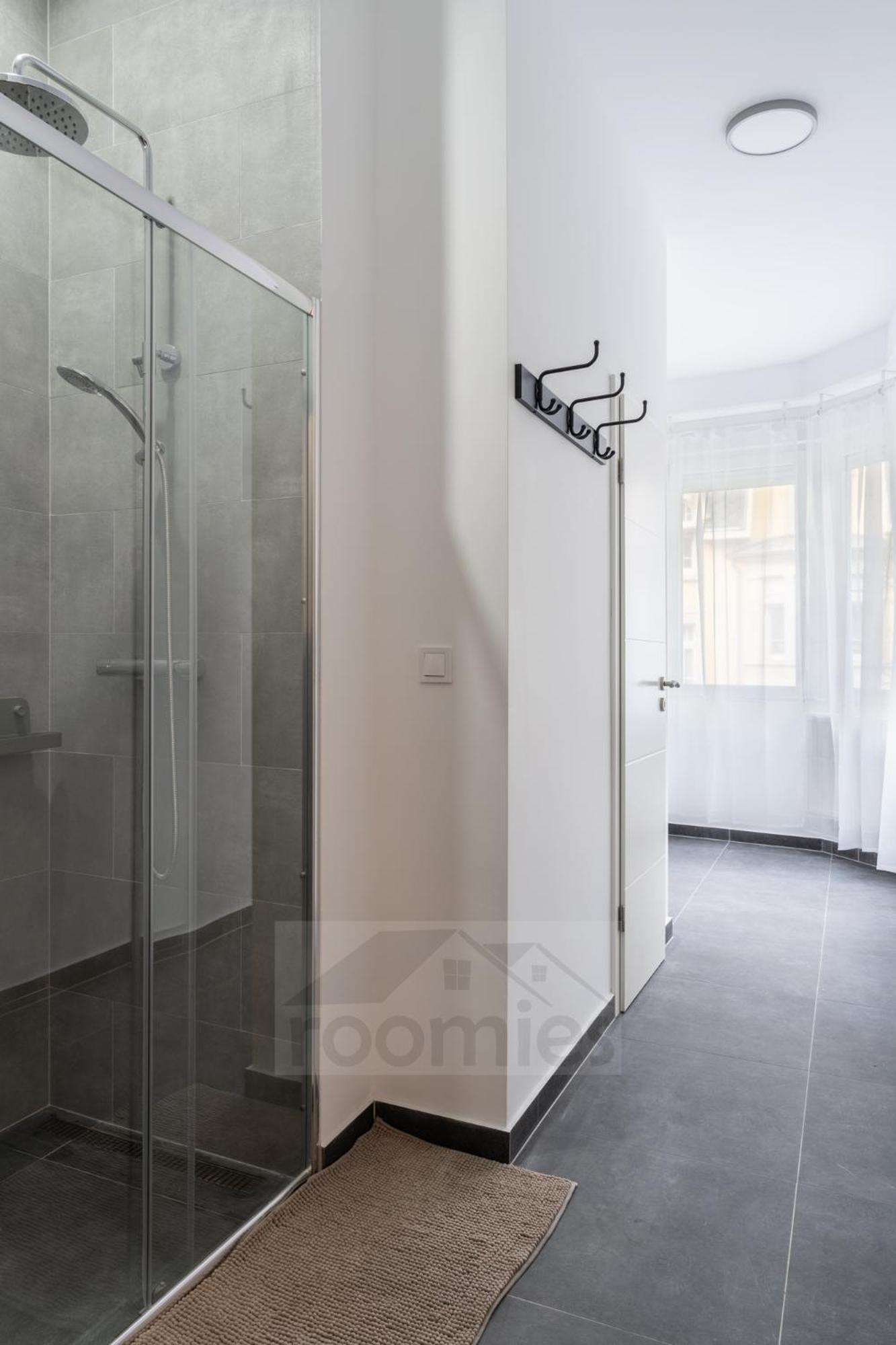 Gasthuis Roomies Centre Gare *