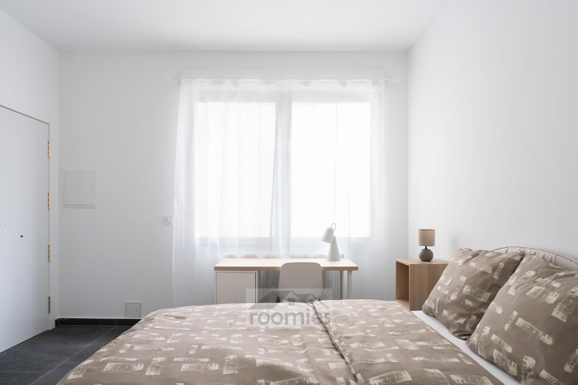 Roomies Centre Gare Gasthuis