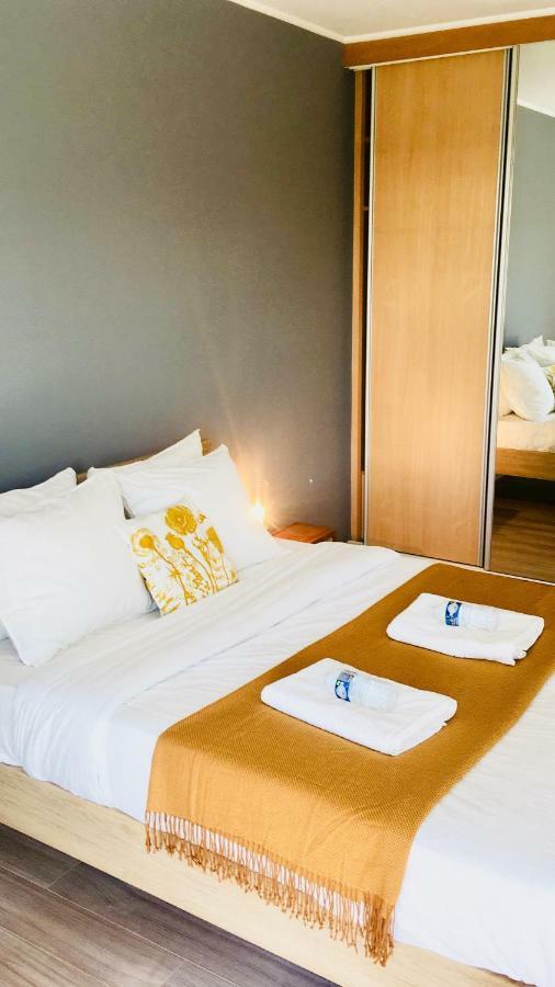 Appartement Art Deco 100m2 Flat 2 Min Walking From Train Station In Center, Free Parking And Terrace - 2b Luxemburg